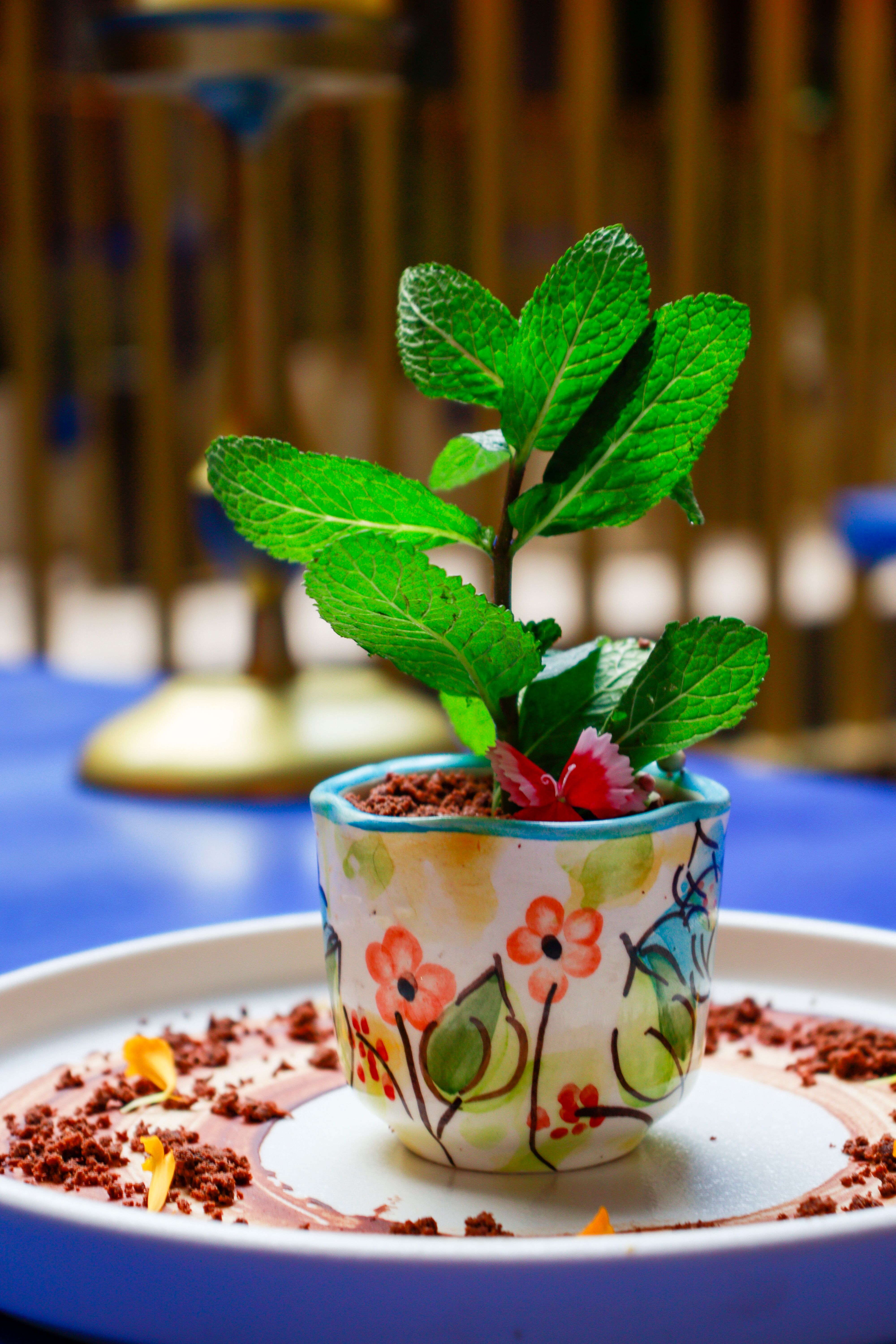 plant-in-a-homemade-vase-free-stock-photo