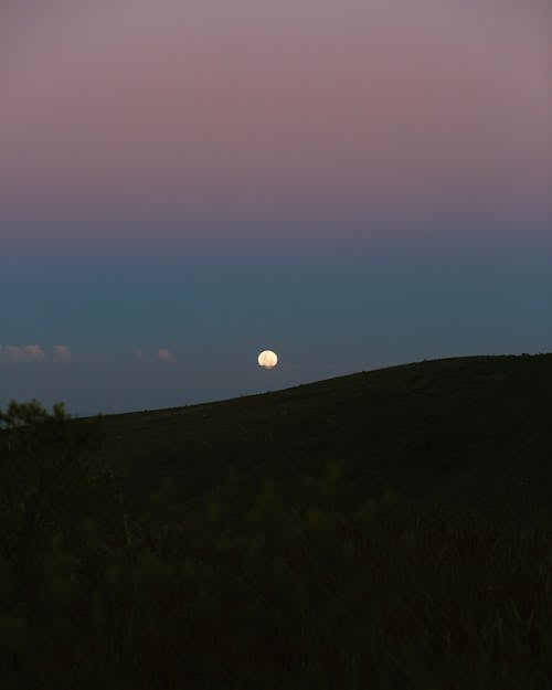 Foto d'estoc gratuïta de cel, lluna, silueta