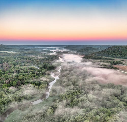 Základová fotografie zdarma na téma dešťový prales, divočina, krajina