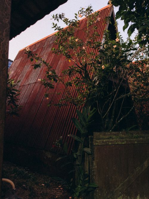 Free A cozy, rustic A-frame house with a red metal roof amidst green foliage in a garden setting. Stock Photo