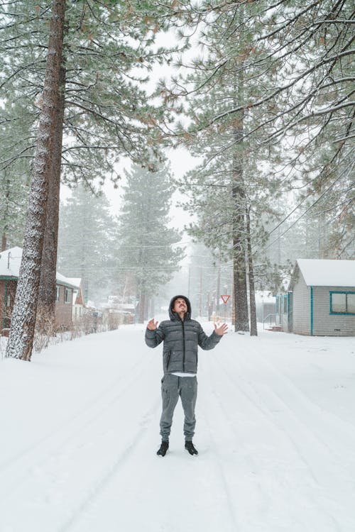 Man Standing Between Trees