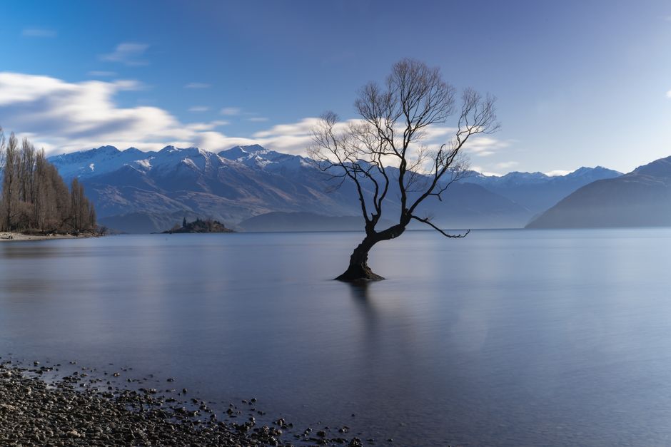 Final Thoughts: A Kiwi Adventure Awaits! Final Thoughts: A Kiwi Adventure Awaits!