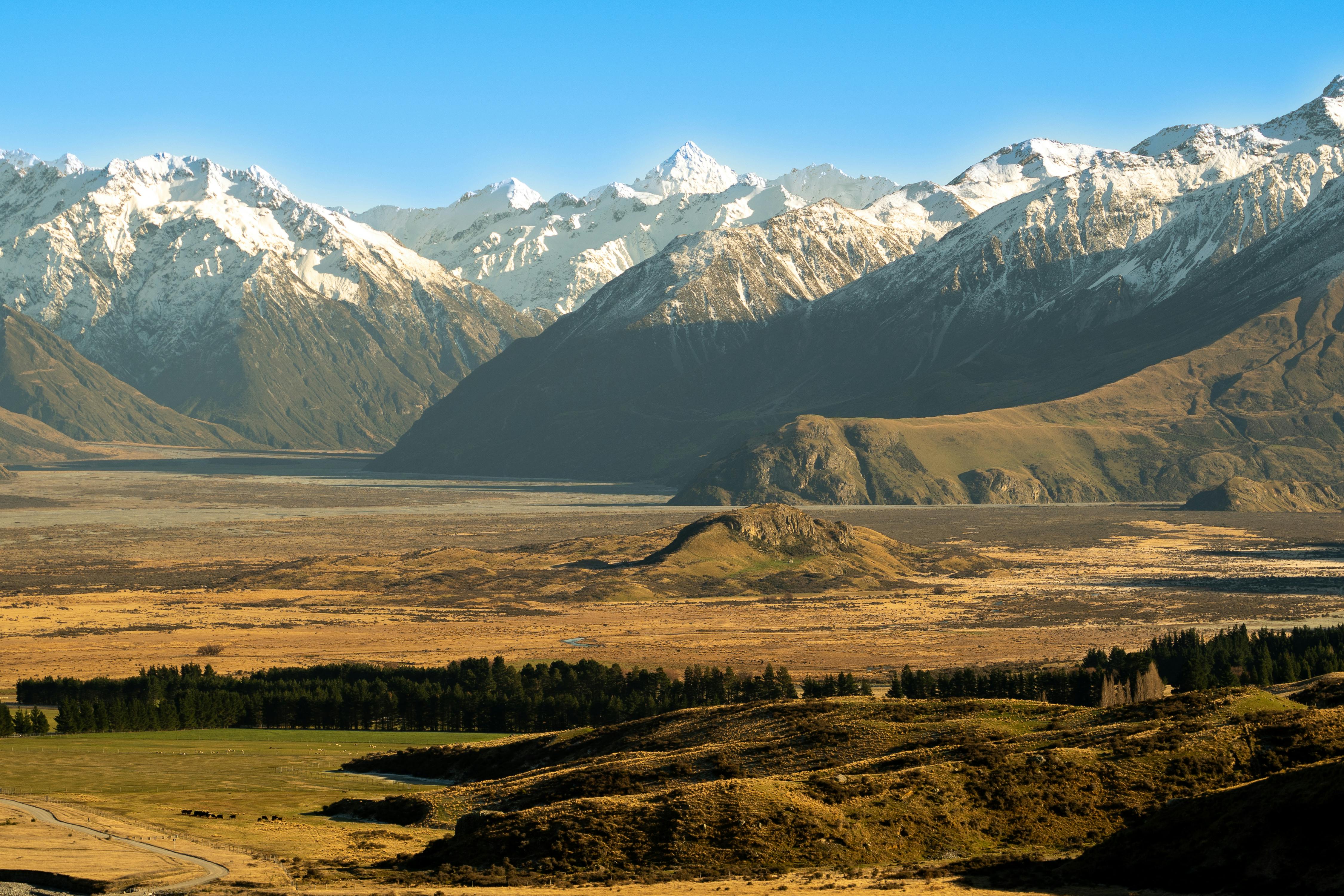 general travel new zealand — Photo by Donovan Kelly on Pexels