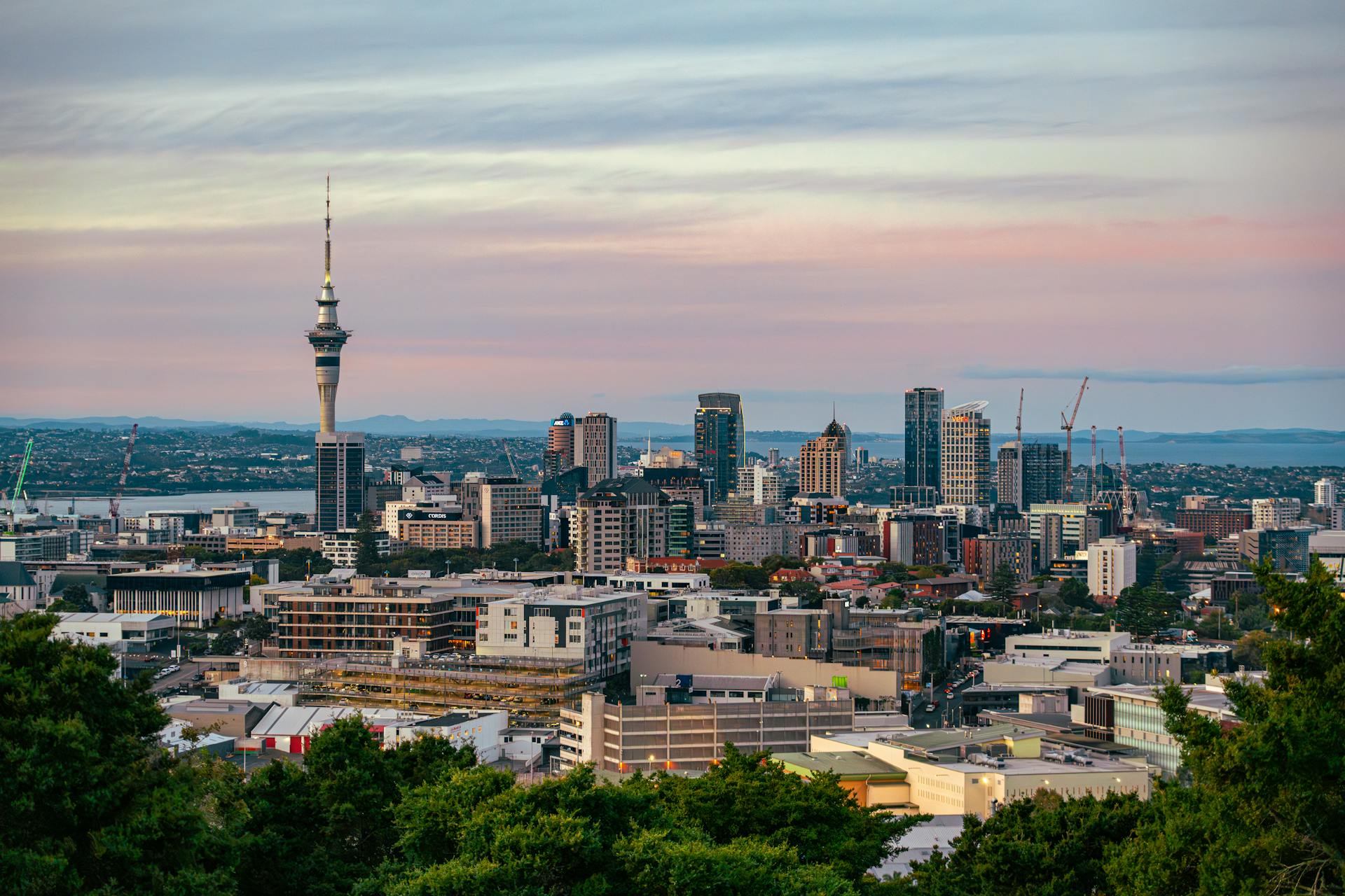 Auckland City with a View of the Sky Tower, New Zealand