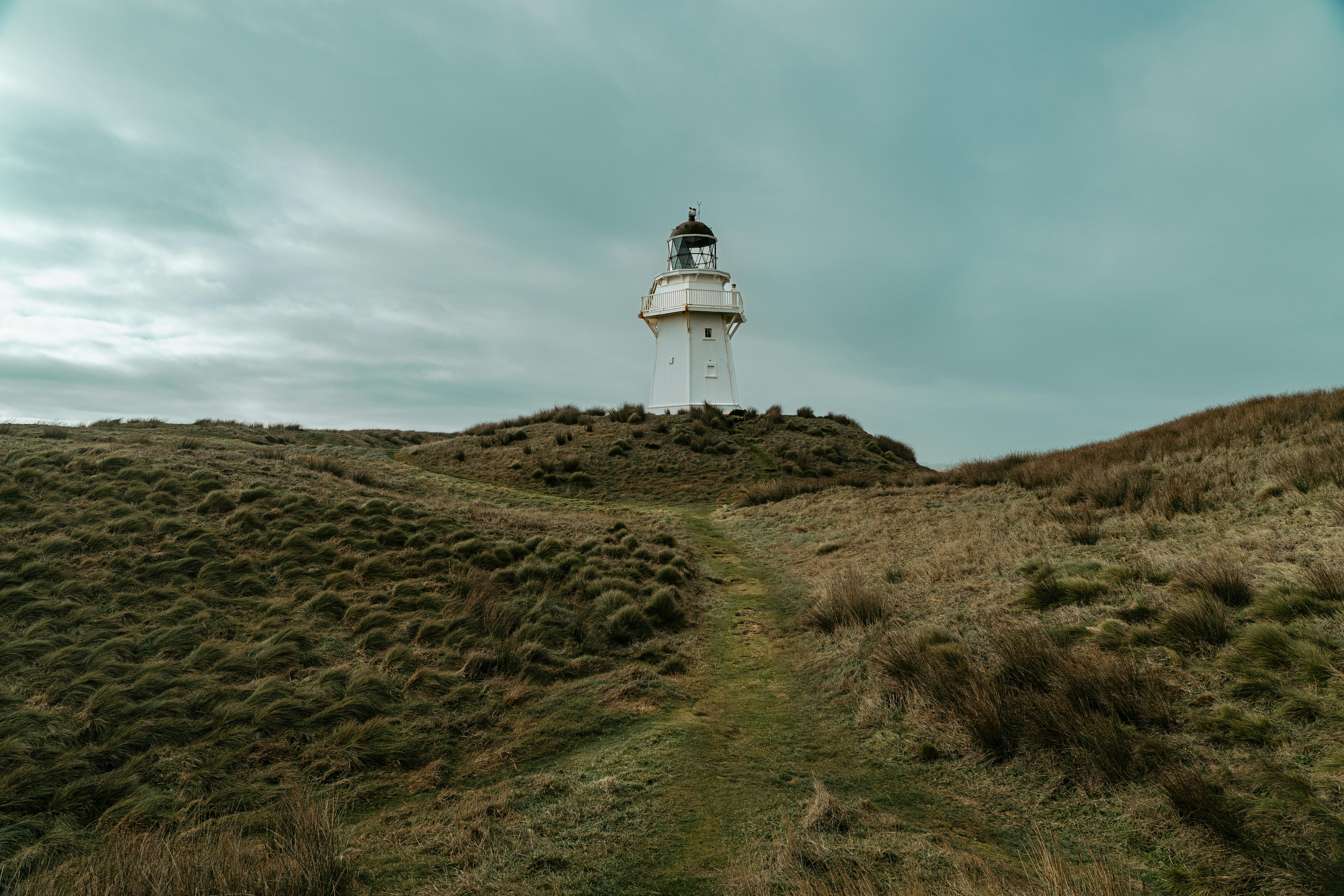 Photo of the Waipapa Point, South Island, New Zealand