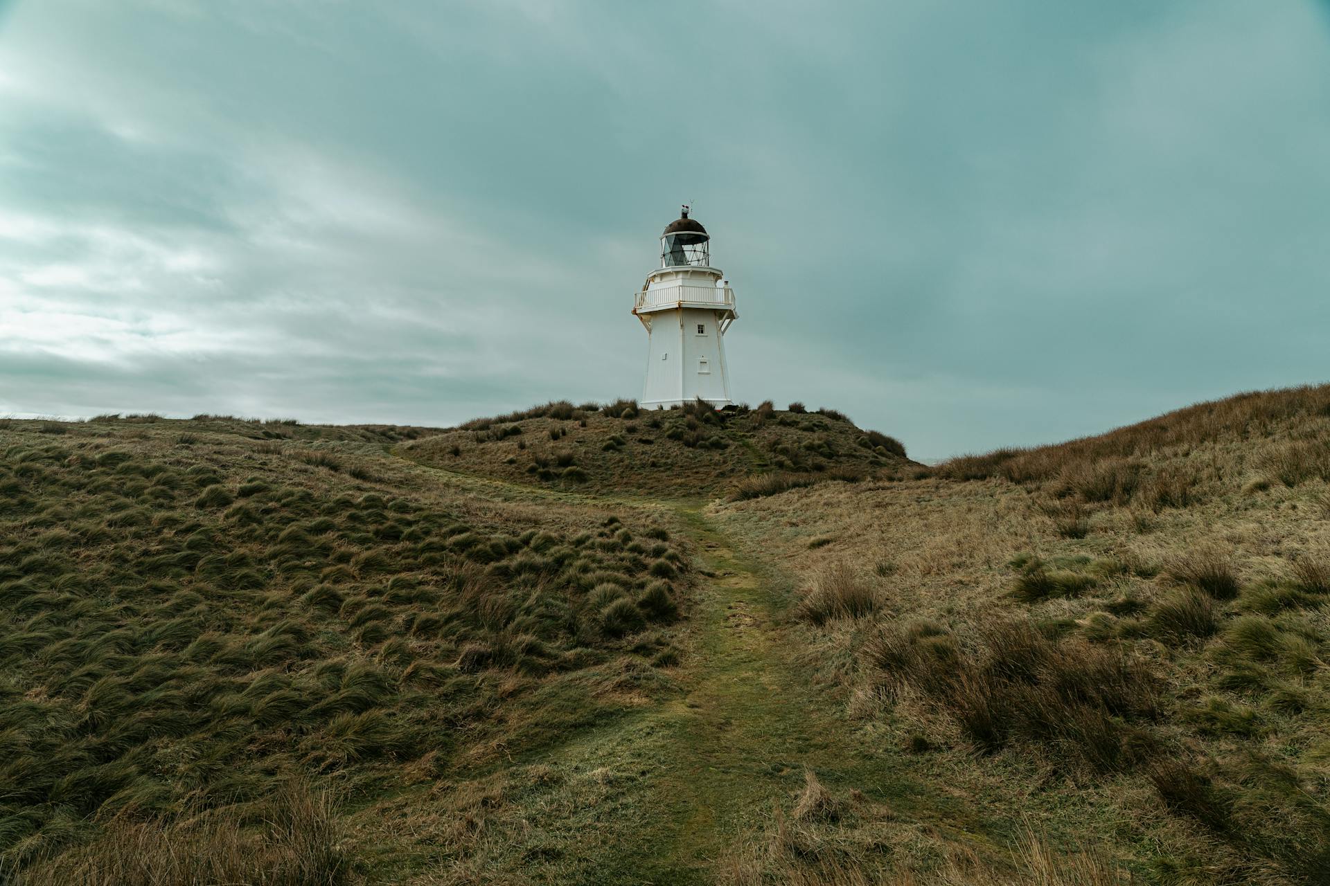 Photo of the Waipapa Point, South Island, New Zealand