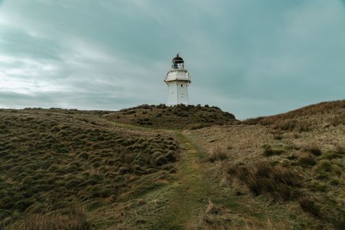 Free Scenic view of Waipapa Point Lighthouse surrounded by hills under overcast skies, creating a moody atmosphere. Stock Photo