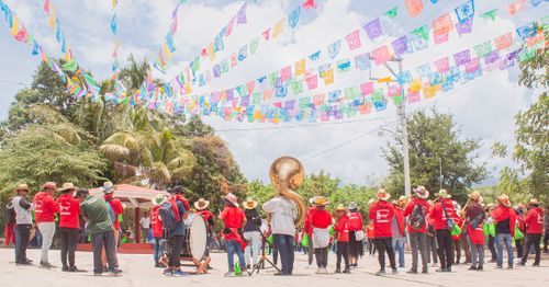 Free stock photo of band, kids, music Stock Photo