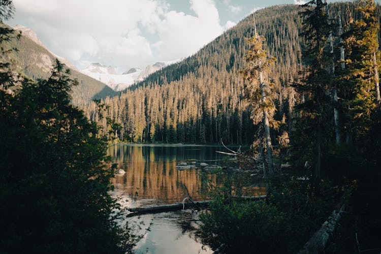 Lake Surrounded By Forest And Mountains In British Columbia, Canada