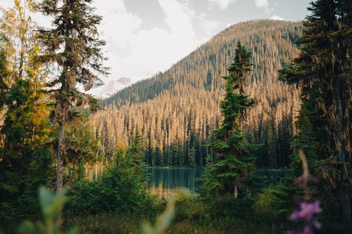 Free Tranquil autumn forest and serene lake with mountain backdrop, perfect for nature lovers. Stock Photo