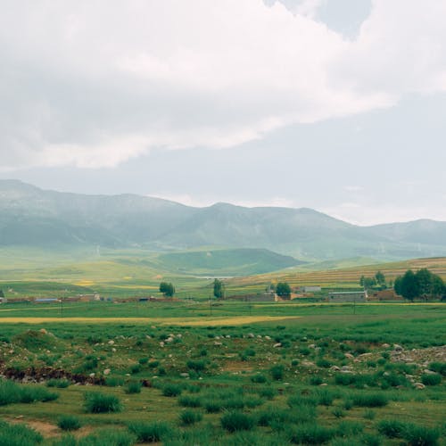 Gratis stockfoto met berg, bergketen, bomen