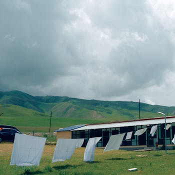 White sheets drying on a clothesline in a picturesque rural landscape under cloudy skies.