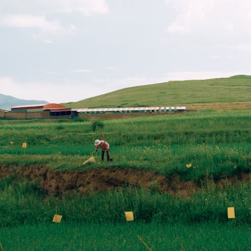 A Person Walking in the Field 