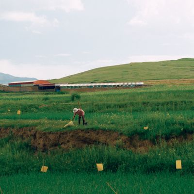 A grower working a green field, photo by mitbg000 on Pexels