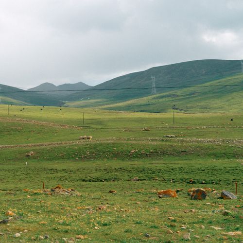 Free Scenic view of verdant hills under a cloudy sky, capturing rural tranquility. Stock Photo