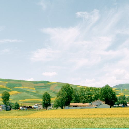 Darmowe zdjęcie z galerii z boiska, horyzont, krajobraz