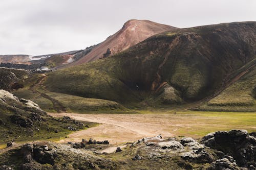 Mountain Landscape with Grass