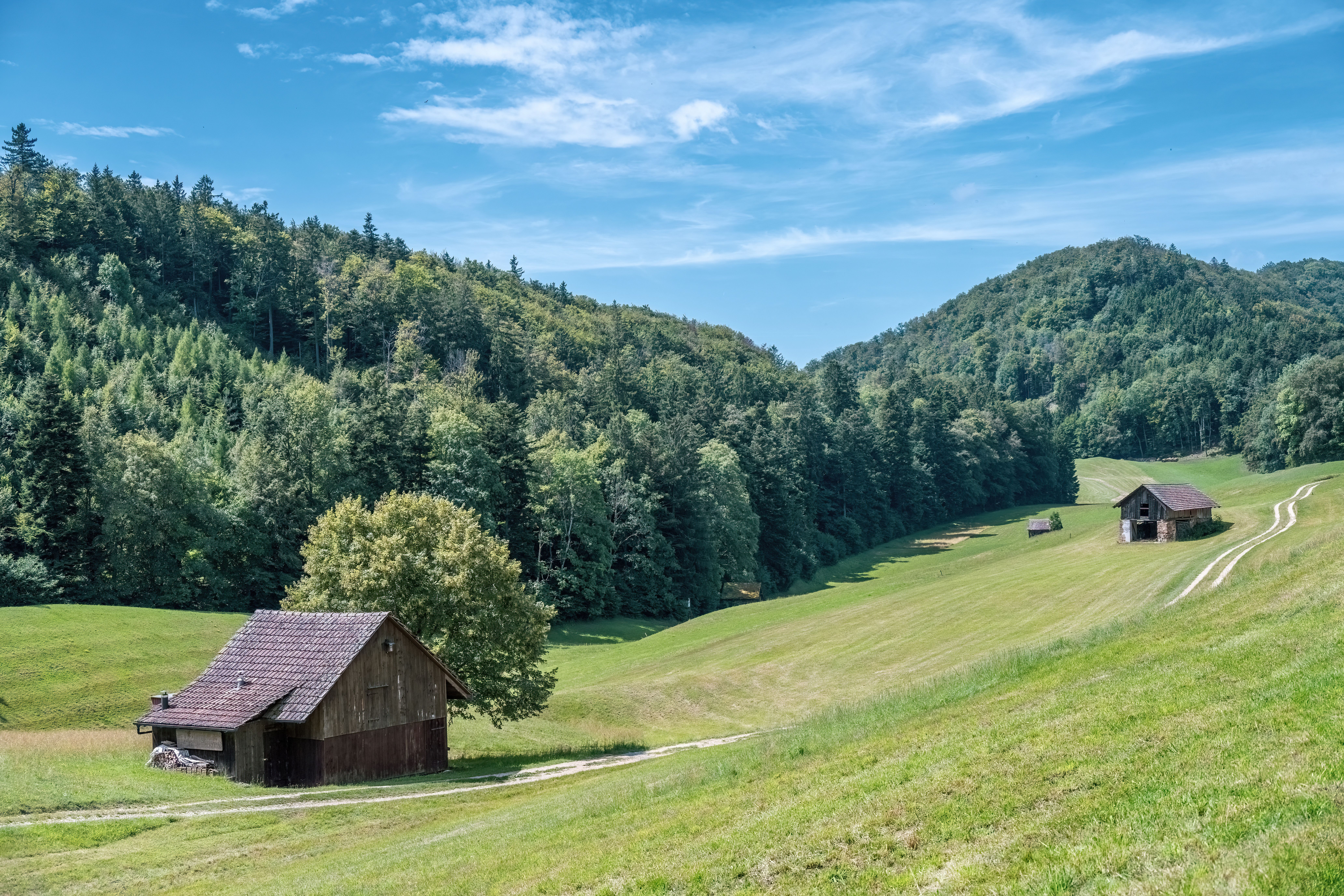 Foto de stock gratuita sobre agricultura, aire fresco, al aire libre ...