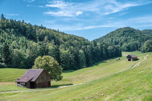 Free Serene countryside view featuring wooden cabins nestled in lush green meadows under a clear blue sky. Stock Photo