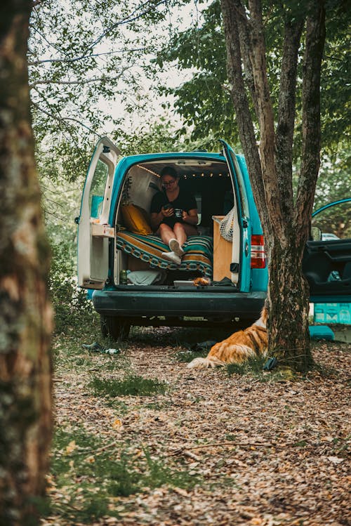 dikey atış, Evcil Hayvan, hafif ticari araç içeren Ücretsiz stok fotoğraf