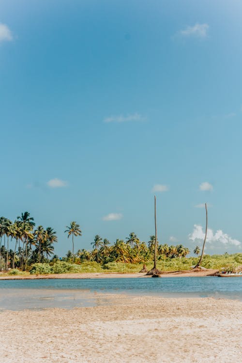 Ipojuca   Pe, Brasilien