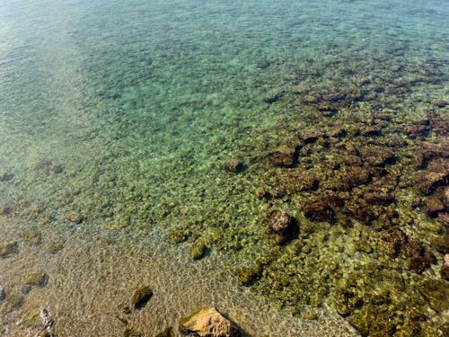 View of Clear Water on a Shore 