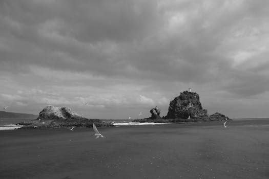 Dramatic black and white image capturing seagulls flying over rock formations on a New Zealand beach.