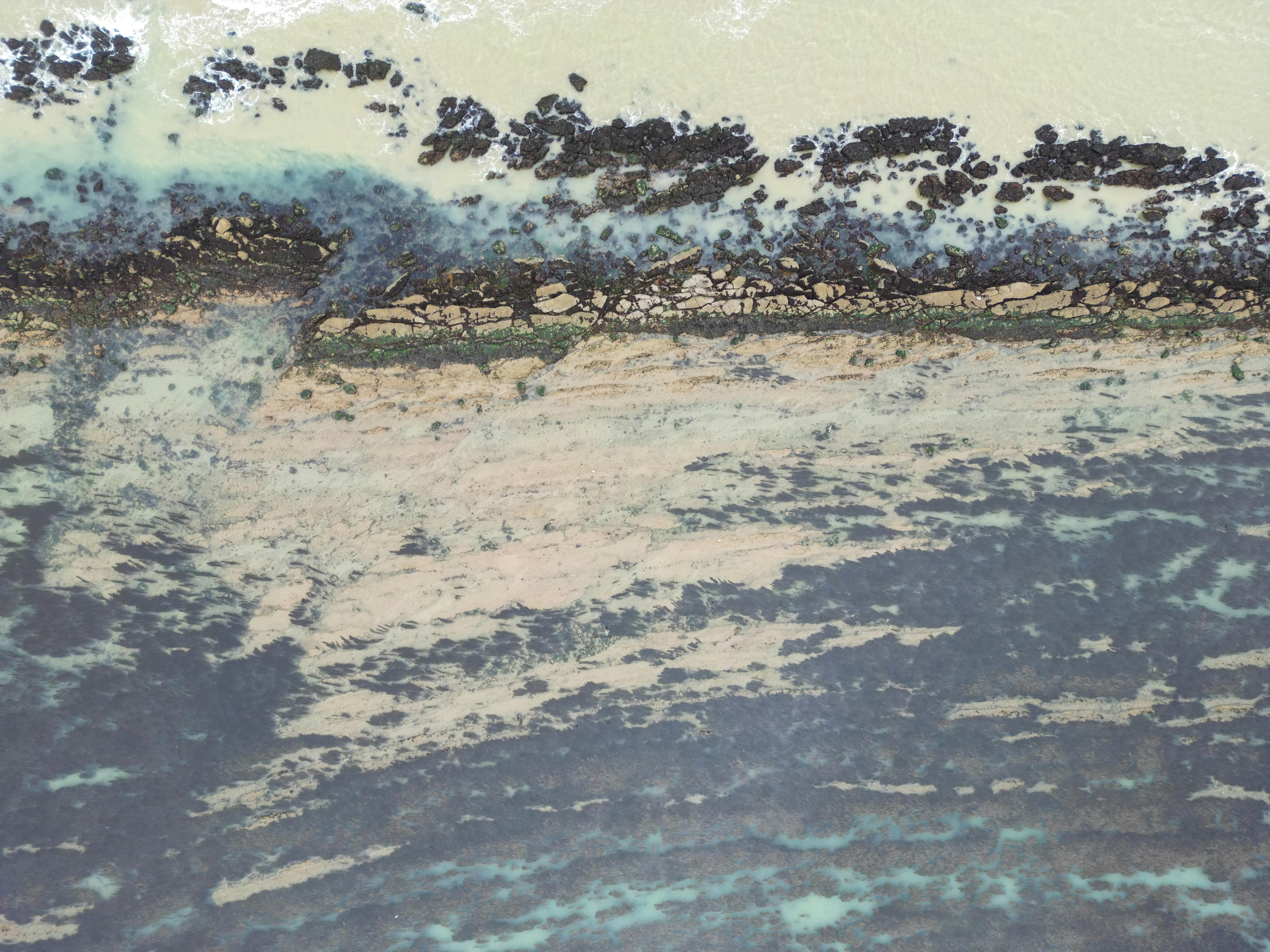 A More Troubling Picture of Sea Level Rise Is Coming into View — Photo by Joe Hayes on Pexels