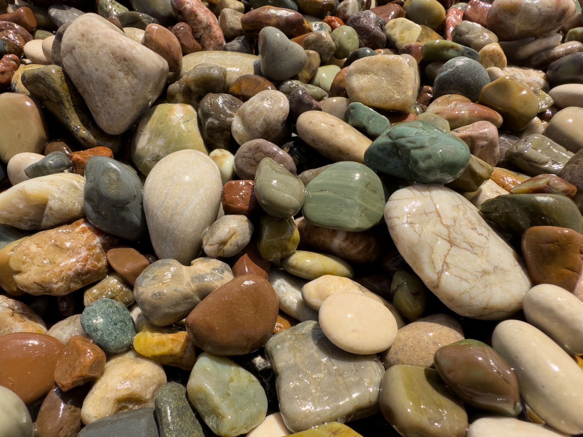 Exploring Rocks Smooth Surface Close-up of Smooth and Rounded by Water Rocks on a Beach · Free Stock Photo