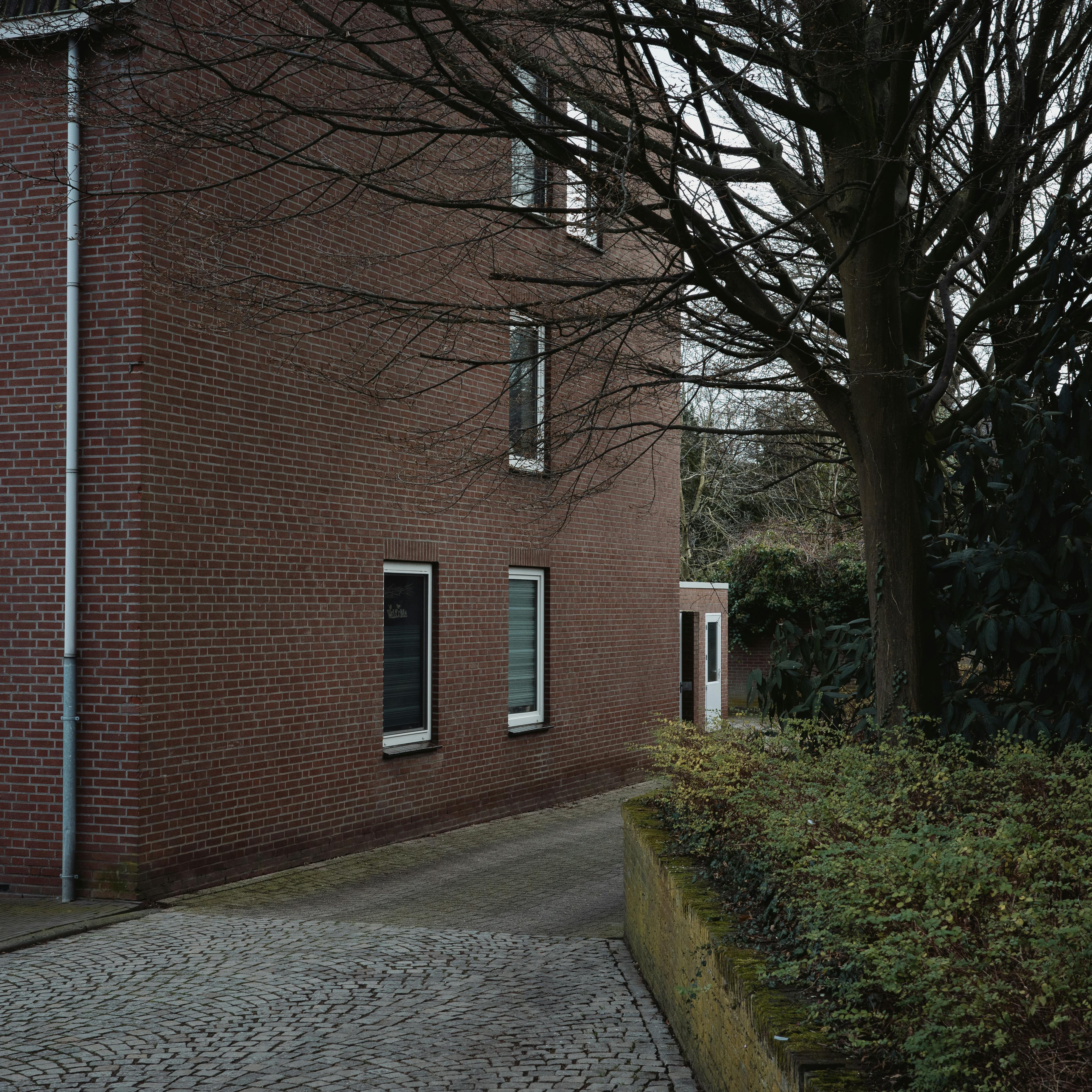 A calm urban street featuring a brick building and a bare tree in Maastricht, Netherlands.