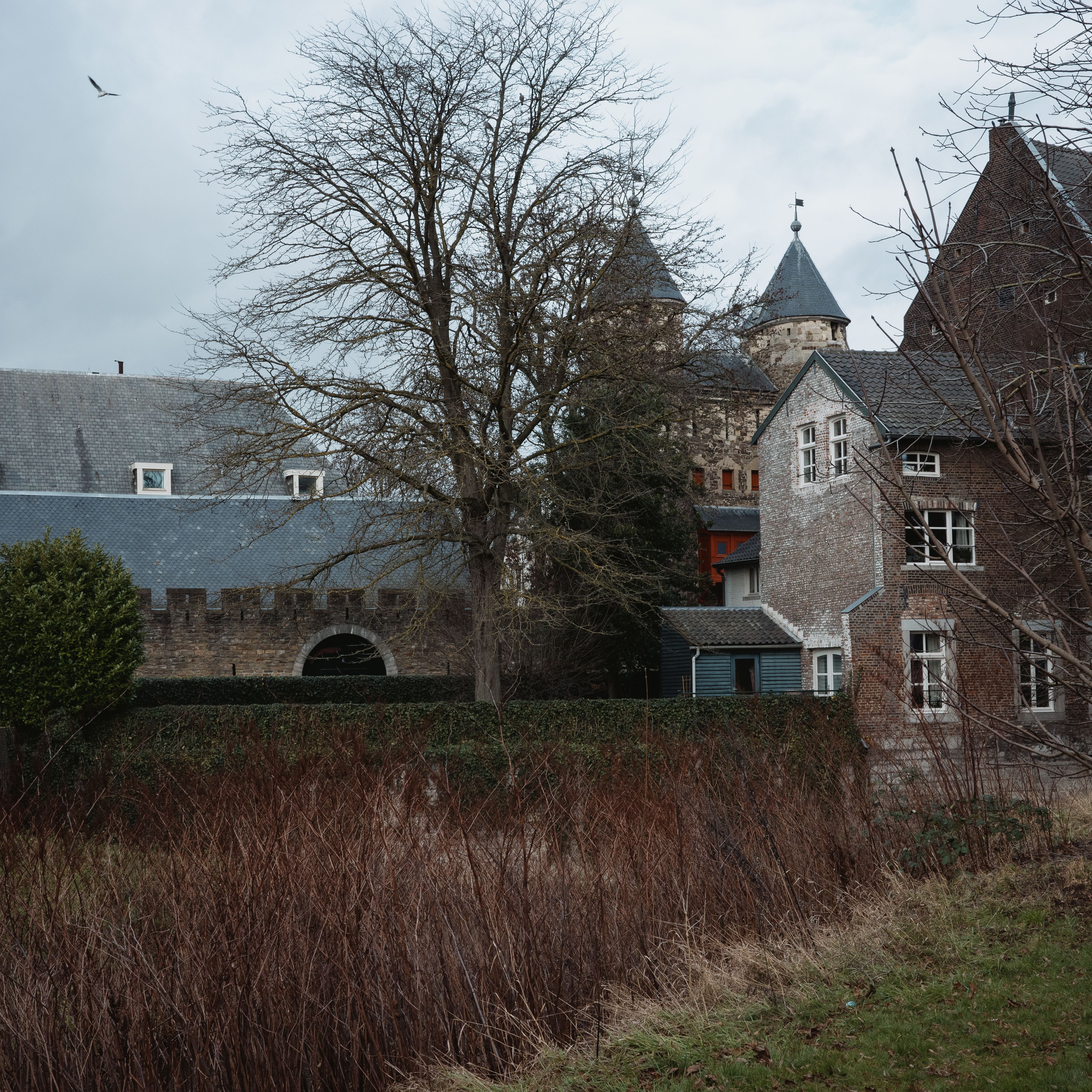 Natuurgebied in Limburg met wandelpad en groen landschap