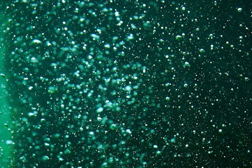 Bubbles in a Sparkling Water