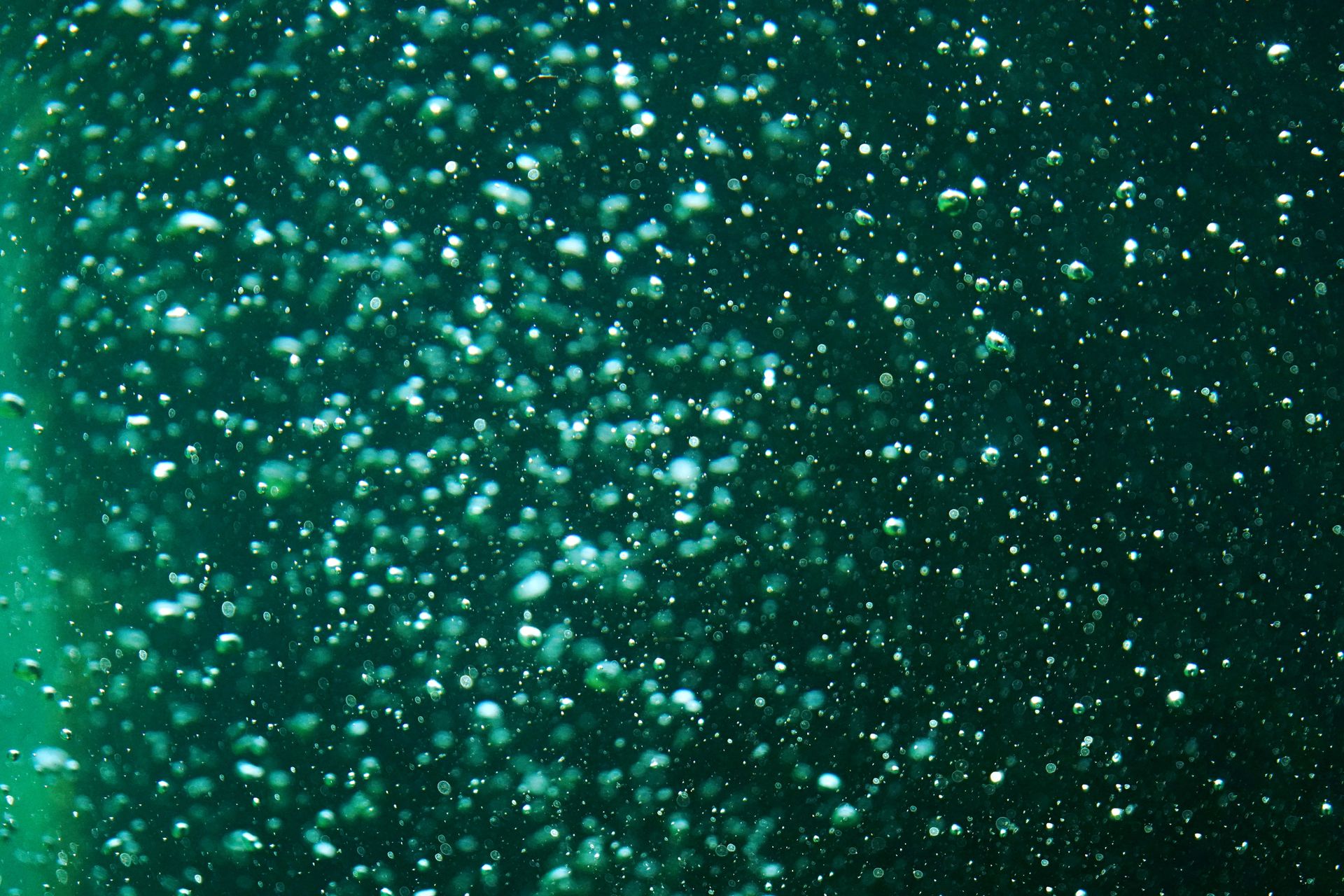Underwater at Hikkaduwa Coral Sanctuary