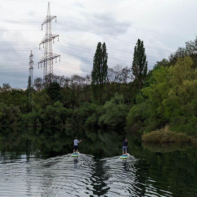 Stand-up paddle sur le lac Blaarmeersen