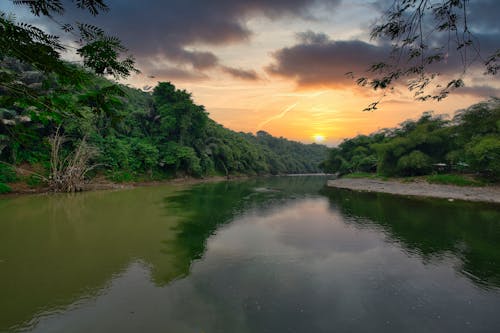 Бесплатное стоковое фото с вода, деревья, закат