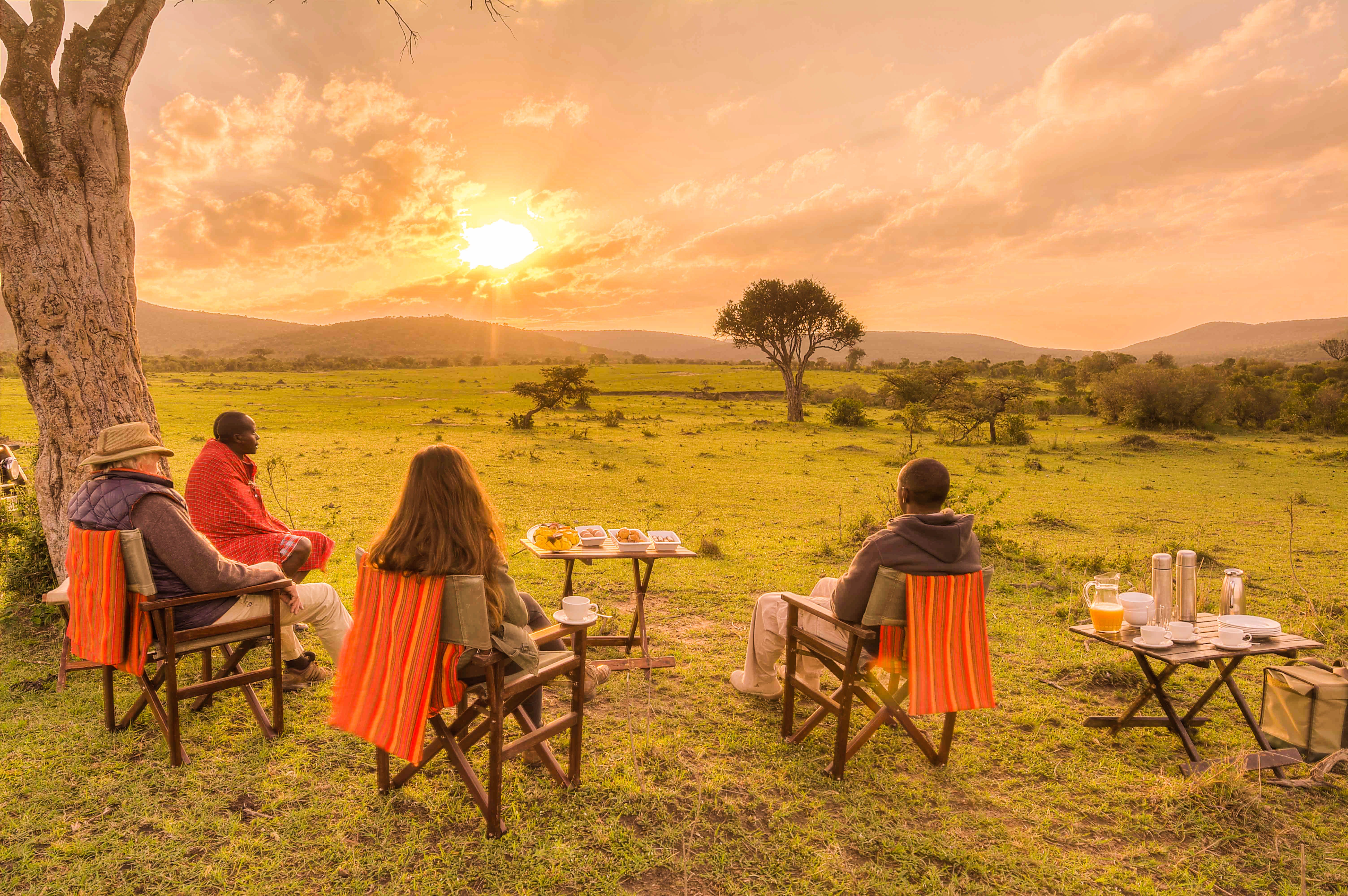 African safari at golden hour