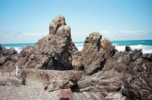 Napier, New Zealand photo 6