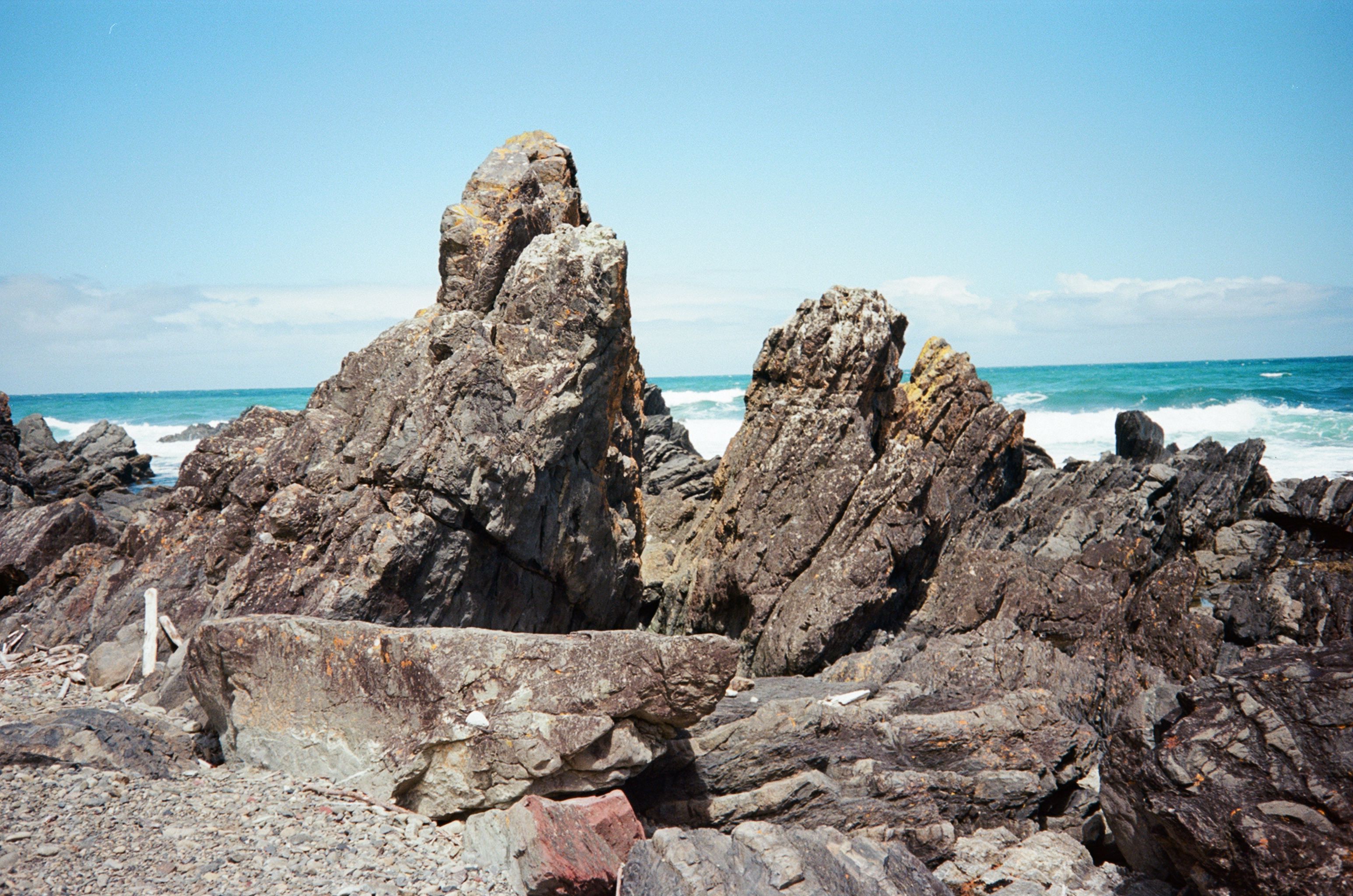 Rugged Coastal Rocks of Wellington, NZ · Free Stock Photo