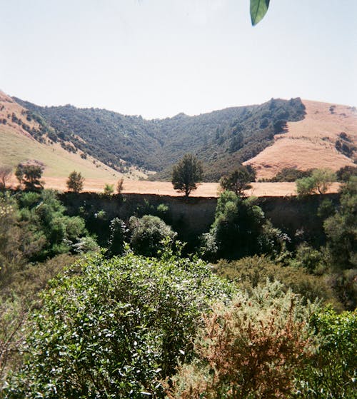 Immagine gratuita di colline verdi, pellicola 35mm, pellicola della fotocamera