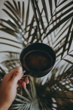 A hand holding a coffee cup near a potted palm plant, indoors.
