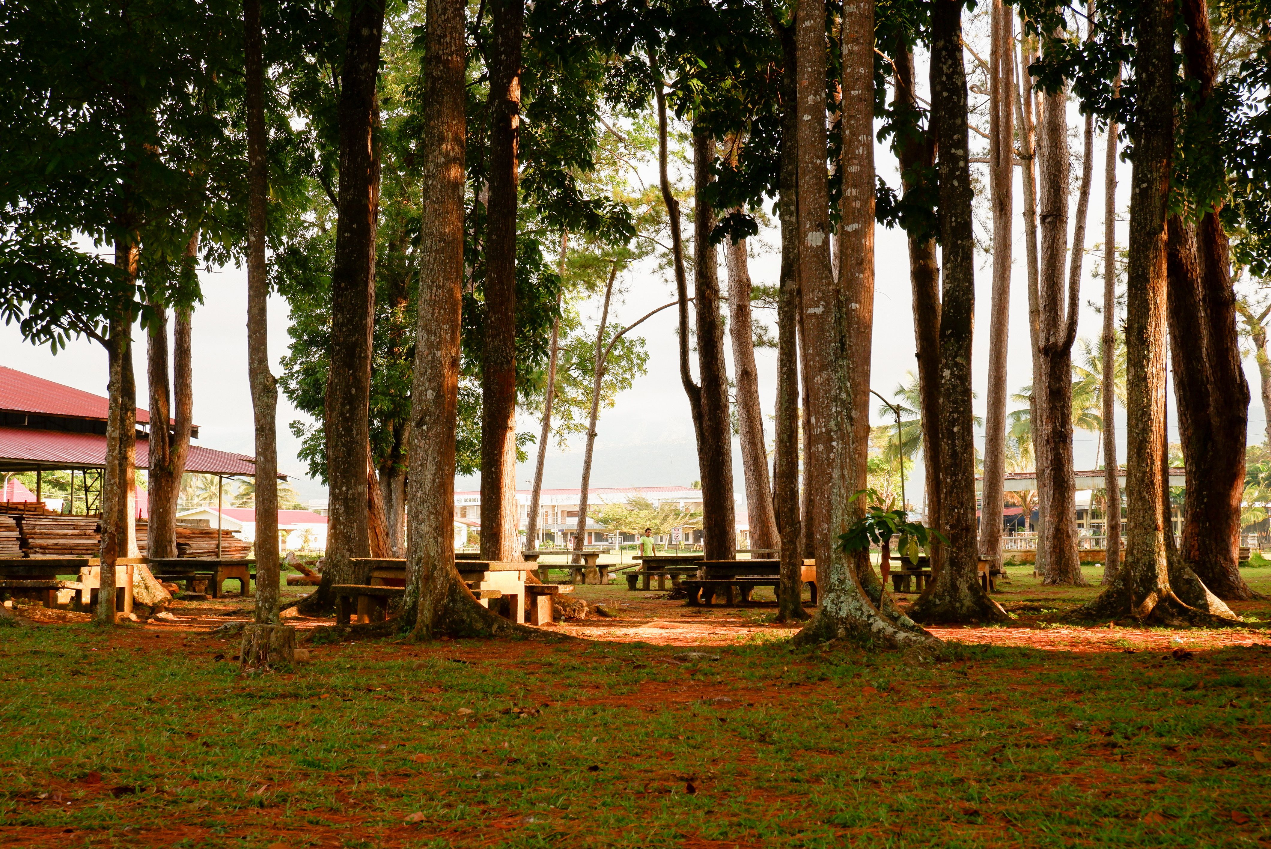 South Dayi launches free primary health care initiative to expand access to healthcare — Photo by Jasper  Mendoza on Pexels