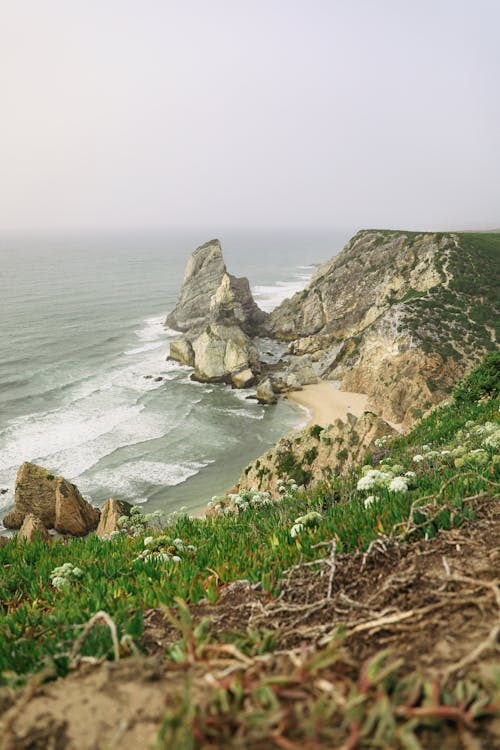 Cliff on Shore near Ocean