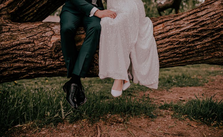 Newlywed Couple Sitting On Tree Branch