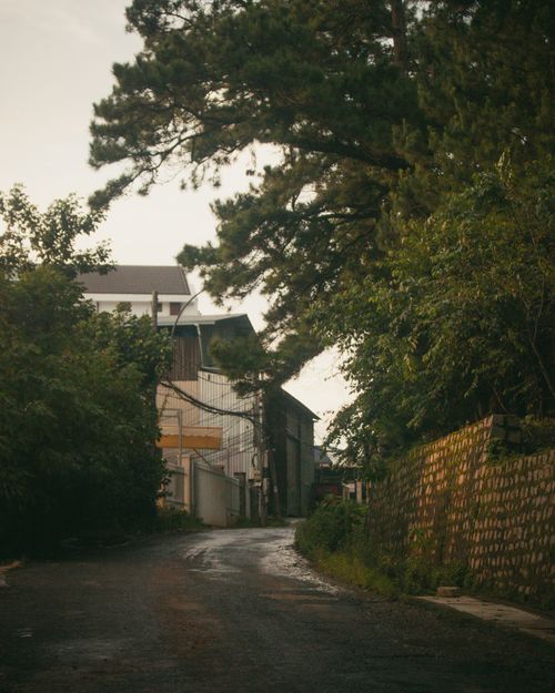 Free Explore a peaceful urban street lined with trees and rustic houses, offering quiet serenity. Stock Photo