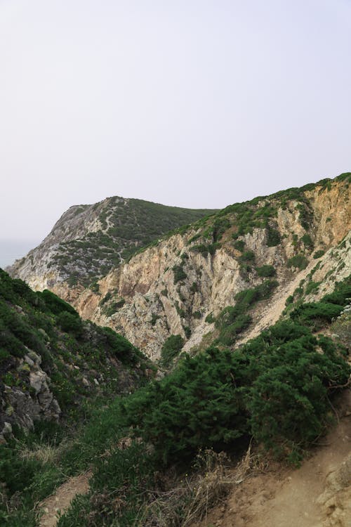 Shrubs in a Rocky Valley 