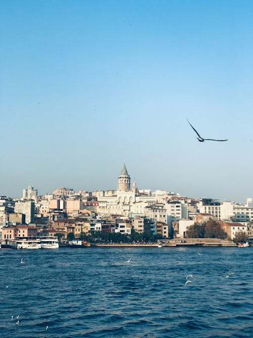 Kostnadsfri bild av galatatornet, hav, istanbul