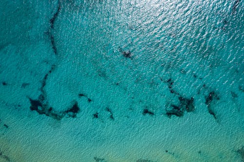 Gratis stockfoto met blauw, blauwgroen, bovenstaande