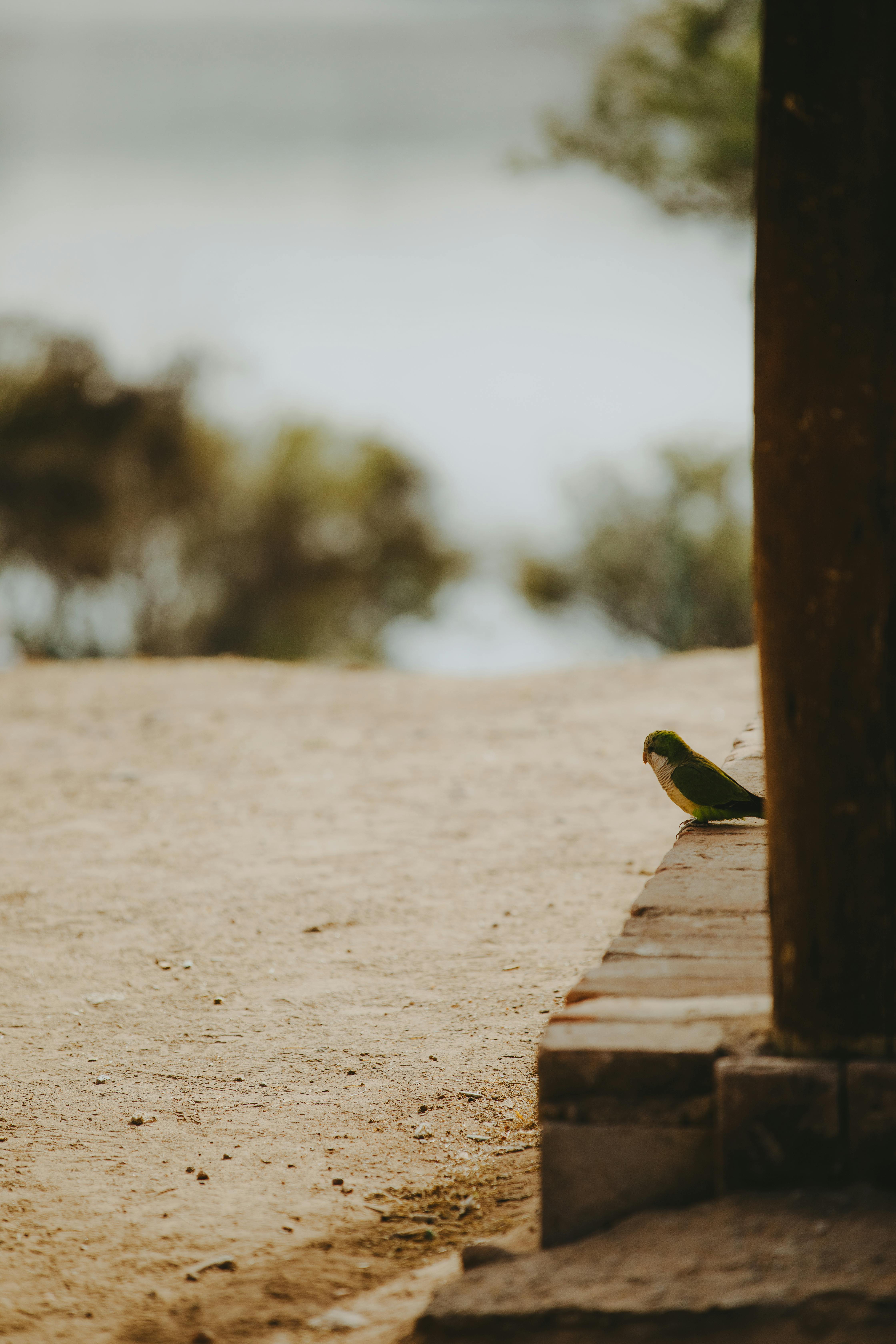 Fune شرح Photos, Download The BEST Free Fune شرح Stock Photos & HD Images