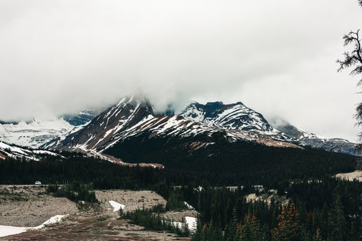 Serene view of snow-capped mountains partially covered in fog in Jasper National Park.
