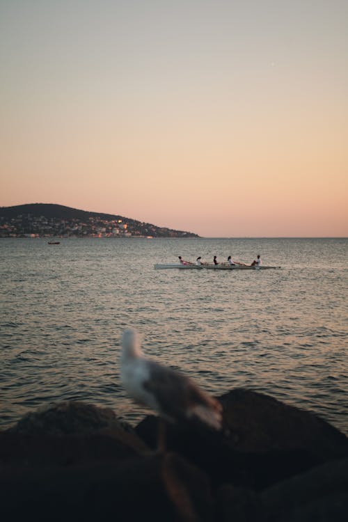 Free Dawn Seascape with a Group of People Rowing in a Boat Stock Photo